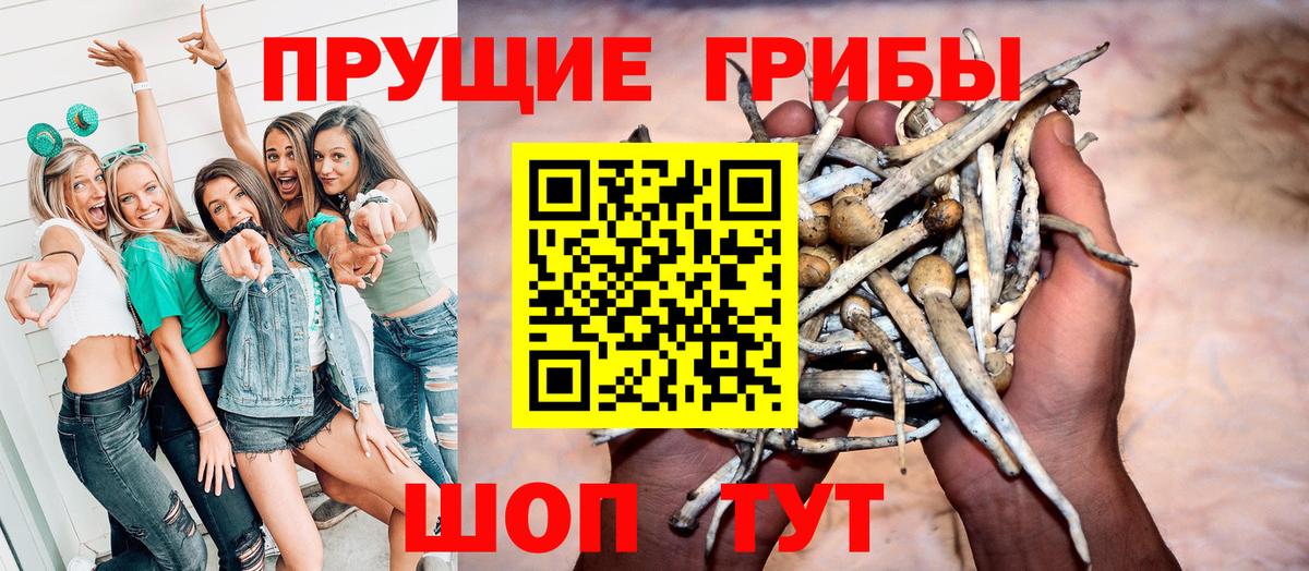 Галлюциногенные грибы Psilocybe  Вход с VPN  купить закладку  Полевской 